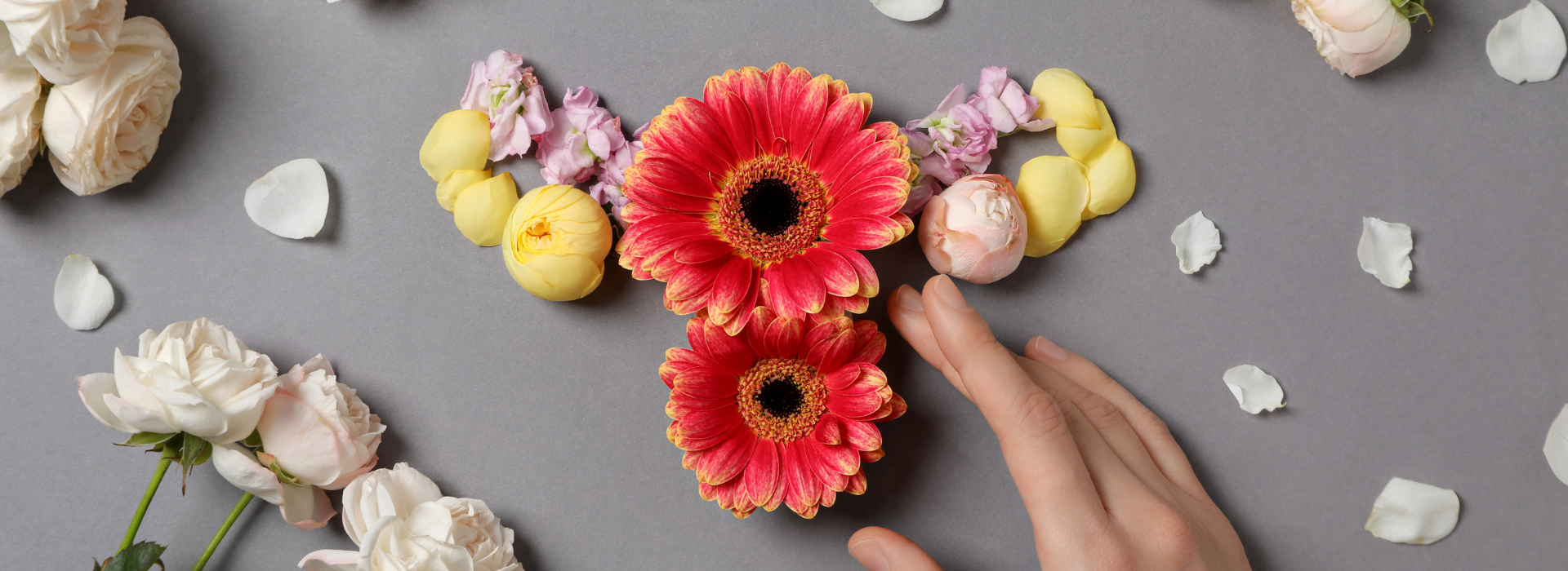 Менопауза – новая жизнь: Как принять перемены и оставаться здоровой и счастливой